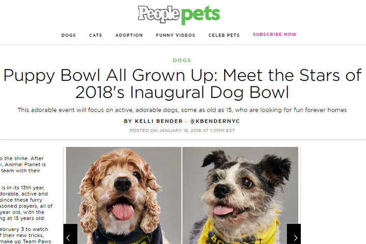 Puppy Bowl All Grown Up: Meet the Stars of 2018's Inaugural Dog Bowl